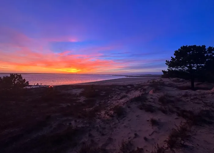 Jolie Maison T3 Bis A La Palmyre, 6 Pers, Terrasse - Fr-1-705-45 *