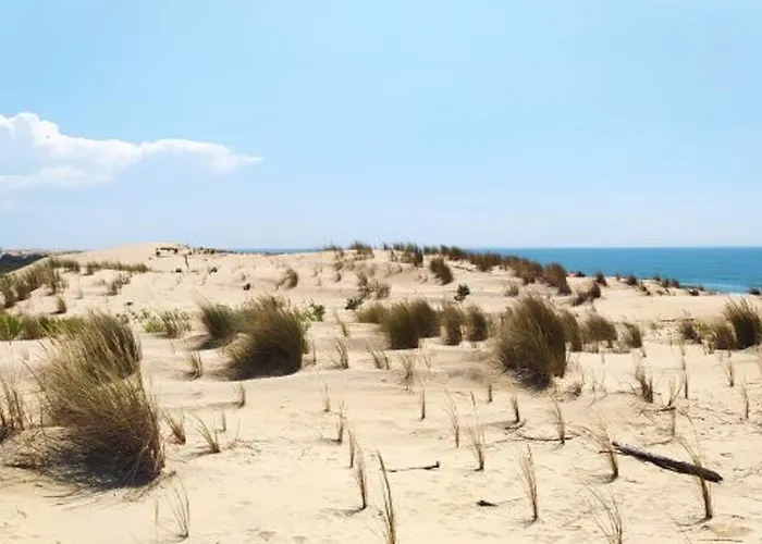 Сasa de vacaciones Jolie Maison T3 Bis A La Palmyre, 6 Pers, Terrasse - Fr-1-705-45